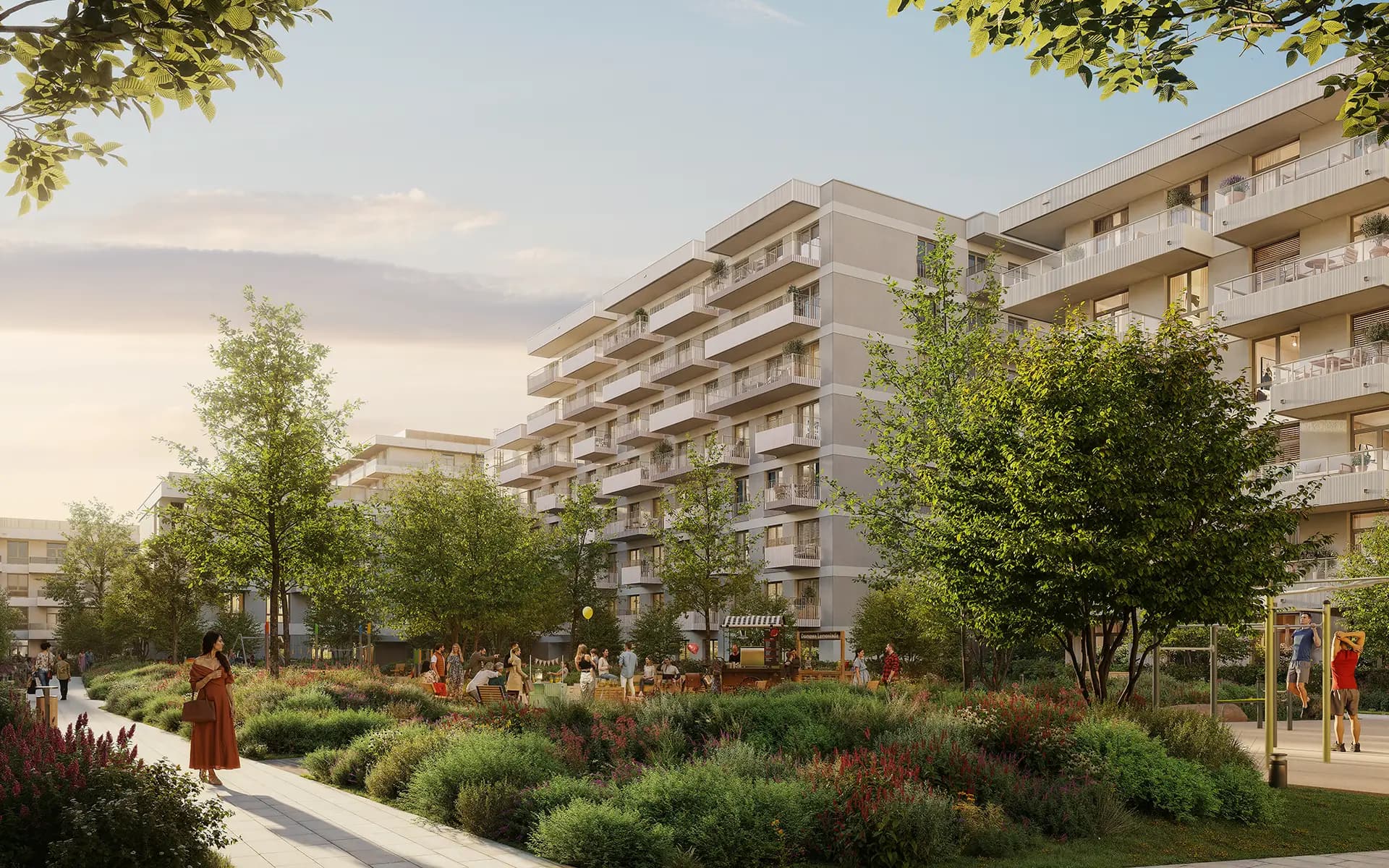 Second Section Image